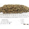 BEST SELLER for Vietnam Robusta/ Arabica Coffee Green Bean(MR JAMES: 00841666886838)