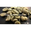 Wet Polished Robusta Green Coffee Beans S18 _ Skype: vinaprosales