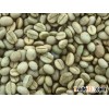 robusta coffe best price