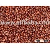 robusta coffee beans from farm low pricee