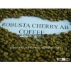 Robusta Green Coffee Beans Price