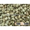 Suppliers of Green Arabica Coffee Bean