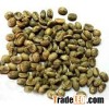 ROBUSTA COFFEE BEANS VIETNAM STRONG TASTE, PACKING 60KG/JUTE BAG,