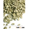 VIETNAM ROBUSTA COFFEE/GREEN COFFEE BEANS/UNROASTED COFFEE BEANS/GOOD OFFERS/CROP 2016 ( SKYPE: hanf