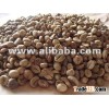 VIETNAMES ROBUSTA/ARABICA COFFEE
