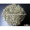 Vietnam Arabica and Robusta Coffee Bean Crop 2015/2016 Good quality
