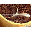 Green coffee bean
