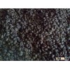 Robusta Coffee Beans