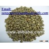 VIETNAM ROBUSTA COFFEE (Best Price_High Quality)