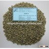 VIETNAM GREEN COFFEE BEANS