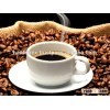 Robusta Coffee Bean/ Arabica coffee Vietnam Best Seller email luca@hanfimex.com (whatsapp&viber 