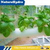 Lettuce Hydroponic NFT Vertical Hydroponic Grow Pot Systems