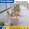 Plastic Dutch bucket hydroponic growing systems