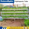 Vegetable Seeds Aquaponics Commercial Hydroponic Grow Pot System