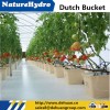 Agricultural hydroponics equipment for tomatoes