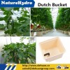 High Quality New Technology Hydroponics Dutch Bucket For Farming