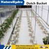 Hydroponic dutch bucket for commercial farming