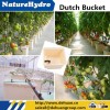 Hydroponic vegetables dutch grow pots bucket system Dutch bucket