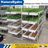 Hydroponic barley fodder growing systems