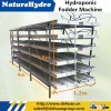 6 Layers Grass Growing Machine Automatic Growing Machine
