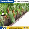 Food-grade Soil Planting PP Rolls Saving Cost