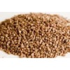 Raw And Roasted Buckwheat / Milling Wheat, Feed Wheat, Buck wheat