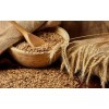 Wheat Bran
