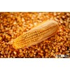 Animal Feed Yellow Corn / yellow corn animal feed / cheap Yellow Corn maise
