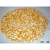 Yellow maize for sale