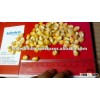 MAIZE YELLOW FOR POULTRY FEED HIGH QUALITY