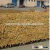 2014 crop yellow broom corn millet broomcorn millet