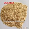 White millet seeds Yellow millet seeds Green millet Red millet bird feed