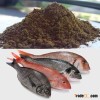 Fish Meal