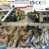 high protein fresh fish meal processing line / fish feed machine processing line / fish pellet mill
