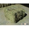 ALFALFA HAY CATTLE FEED