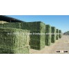 Top Quality Alfafa Hay For Animal feeding stuff Alfalfa / alfalfa hay / alfalfa hay READY NOW
