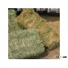 Alfalfa Hay, Timothy Hay, Oat Hay, Bermuda Grass Top Quality Hay