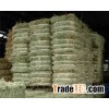 Quality Alfalfa Hay,Timothy Hay and Bermuda Hay Now in Stock.