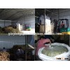 Corn Silage Good For Animal Feed CHEAP PRICE - candy@vietnambiomass.com & Skype: baoyenhx (MS CA