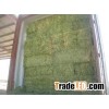 high quality Animal feed , alfalfa hay for sale