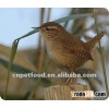 microwave dried mealworm bird food fish food pet food animal food