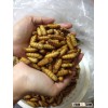Vietnam Good Quality Dried Silkworm