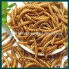 Chicken food wholesale dried mealworm