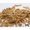 Microwave dried mealworm yellow worms bird food