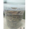 High protein bulk bird food dried mealworm