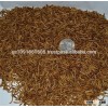 High protein dried mealworm of bird food