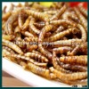 Fish food wholesale dried mealworm