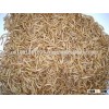 Bulk Dried mealworms Factory Eco-friendly reptiles food