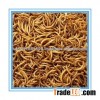 Nutrition Dried mealworms Chicken Feed