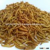 Chicken feed bulk bird food dried mealworm
